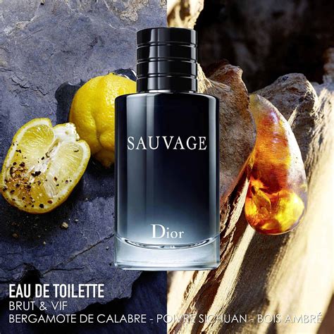 dior auvage edt cena|dior sephora sauvage cologne.